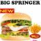 BIG SPRINGER