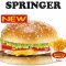 SPRINGER